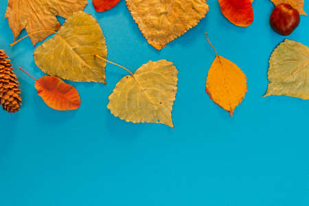 Autumn mockup with yellow, red leaves. Fir cones and a white sheet of paper for the inscription.の写真素材