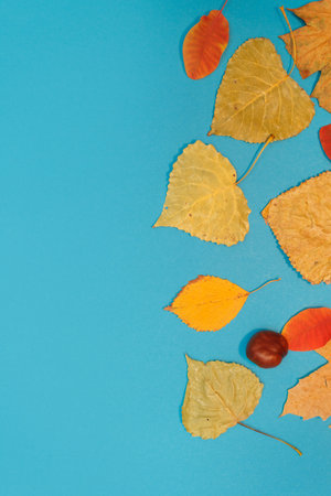 Autumn mockup with yellow, red leaves. Fir cones and a white sheet of paper for the inscription.