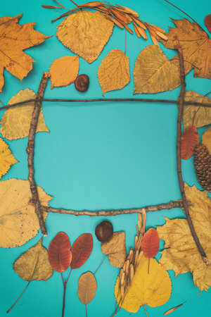 Autumn mockup with yellow, red leaves. Fir cones and a white sheet of paper for the inscription.の写真素材