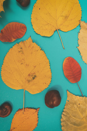Autumn mockup with yellow, red leaves. Fir cones and a white sheet of paper for the inscription.