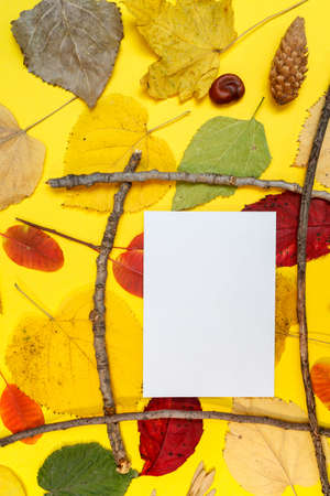 Autumn mockup with yellow, red leaves. Fir cones and a white sheet of paper for the inscription.の写真素材