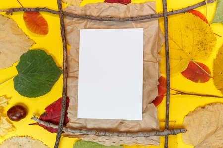 Autumn mockup with yellow, red leaves. Fir cones and a white sheet of paper for the inscription.の写真素材
