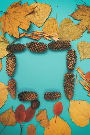 Autumn mockup with yellow, red leaves. Fir cones and a white sheet of paper for the inscription.