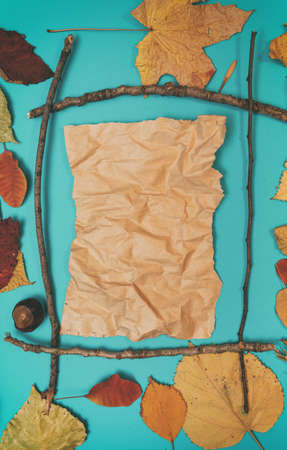 Autumn mockup with yellow, red leaves. Fir cones and a white sheet of paper for the inscription.の写真素材