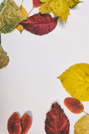 Autumn mockup with yellow, red leaves. Fir cones and a white sheet of paper for the inscription.