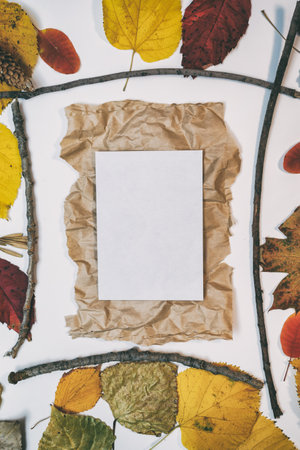 Autumn mockup with yellow, red leaves. Fir cones and a white sheet of paper for the inscription.の写真素材