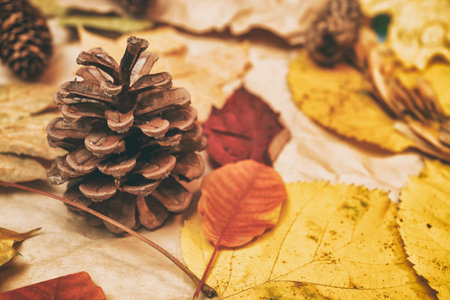 Autumn mockup with yellow, red leaves. Fir cones and a white sheet of paper for the inscription.の写真素材