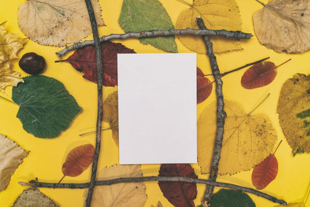 Autumn mockup with yellow, red leaves. Fir cones and a white sheet of paper for the inscription.