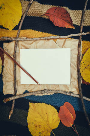 Autumn mockup with yellow, red leaves. Fir cones and a white sheet of paper for the inscription.の写真素材