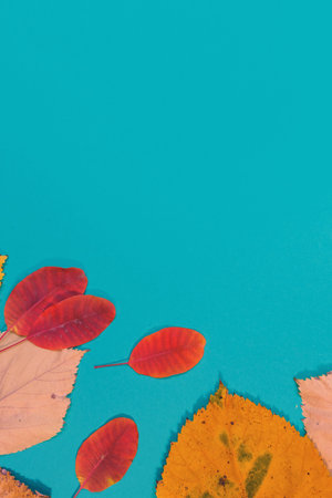 Autumn mockup with yellow, red leaves. Fir cones and a white sheet of paper for the inscription.