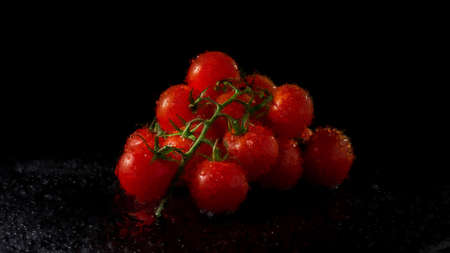 tomatoes on a black background Pastel Canvas Oil Paintingの写真素材