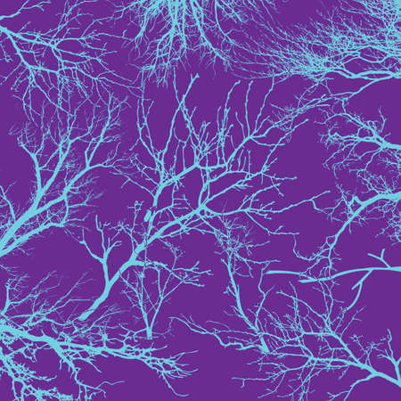 Texture of tree branches on isolateの写真素材