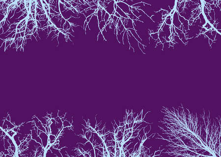 Texture of tree branches on isolate frameの写真素材