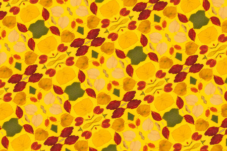 Autumn mockup with yellow, red leaves. Fir cones and a white sheet of paper for the inscription.の写真素材