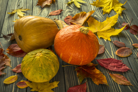 Thanksgiving pumpkins and fallen leaves on a nice vintage wooden background.の写真素材
