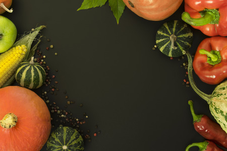Border of pumpkins and other autumn vegetables on a black background. Mock up, place for your text.の写真素材