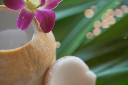 Close up of young coconut full of fresh tasty milk decorated with orchid flowers. Mock up, copy space for your text.の写真素材