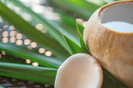 Close up of young coconut full of fresh tasty milk. Mock up, copy space for your text.の写真素材