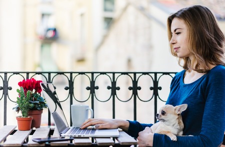 Young attractive casual dressed freelancer woman sitting on sunlight filled terrace with her little helper, adorable chihuahua dog and working on her project using laptop. Distant job and education in comfortable conditions concept. Side view. Copy space for your text.の写真素材
