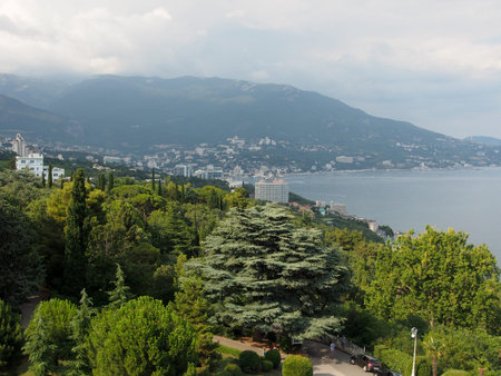 Dense green forest on the background of the sea, in the middle plan you can see a pleasure boat.