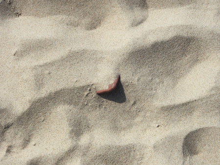 Dry, sea sand with natural irregularities, close-up, background image. Textured background made of...