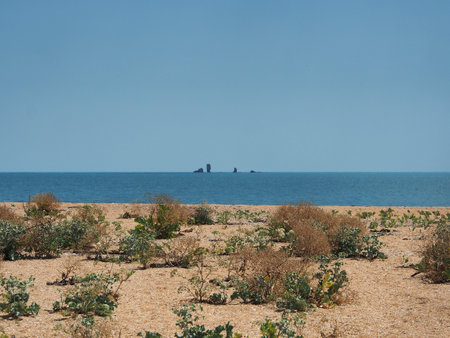 Landscape, a salt lake illuminated by the sun against a clear, cloudless sky. Wildlife, the concept of tourism, recreation and travel.の写真素材