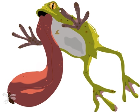 Frog Eat のイラスト素材