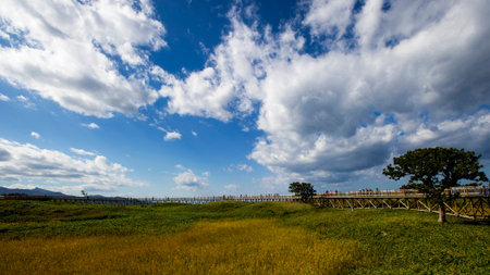 Nature sceneryの写真素材