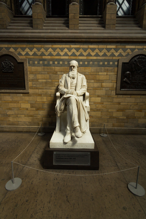A statue of Charles Darwin in the Science Museum, Londonのeditorial素材