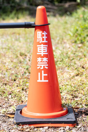 No parking color cones