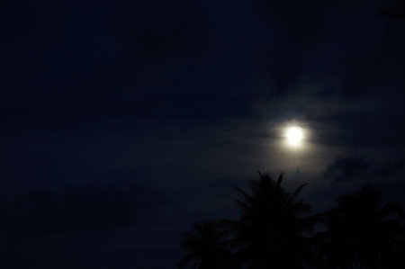 sunsetの写真素材