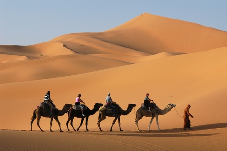 Camel caravan going through the sand dunes in the Sahara Desert, Moroccoのeditorial素材