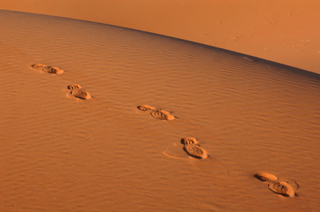 Human footsteps in the sand in the Sahara Desert, Morocco
