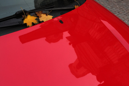 Autumn maple leaves on the red car.の写真素材