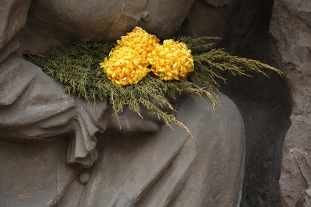 Yellow chrysanthemum at the Josefov Garrison Cemetery in Jaromer, Central Bohemia, Czech Republic.の写真素材
