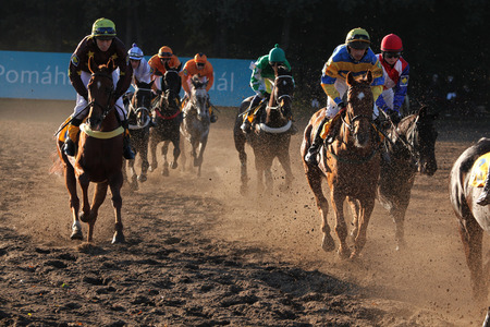 PARDUBICE, CZECH REPUBLIC - OCTOBER 13, 2013: Jockeys and their horses compete during the Velka Pardubicka Steeplechase, the toughest steeplechase in continental Europe, in Pardubice, Czech Republic.のeditorial素材