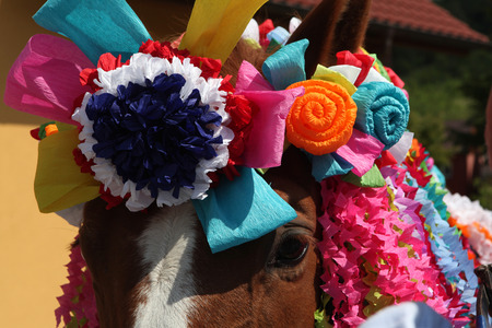 VLCNOV, CZECH REPUBLIC - MAY 26, 2013: Traditional horse decoration seen during the Ride of the Kings folklore festival in Vlcnov, South Moravia, Czech Republic.のeditorial素材