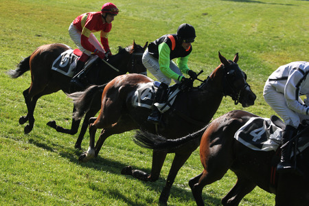 PARDUBICE, CZECH REPUBLIC - OCTOBER 13, 2013: Jockeys and their horses compete during the Velka Pardubicka Steeplechase, the toughest steeplechase in continental Europe, in Pardubice, Czech Republic.