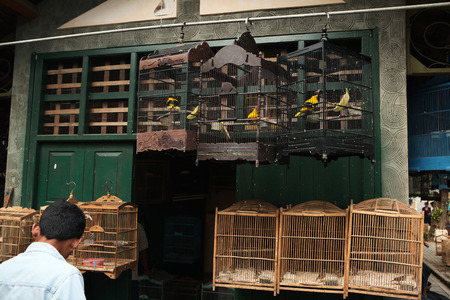 YOGYAKARTA, INDONESIA - JULY 31, 2011: Vendor sells song birds and parrots at the Pasar Ngasem Market in Yogyakarta, Central Java, Indonesia.のeditorial素材