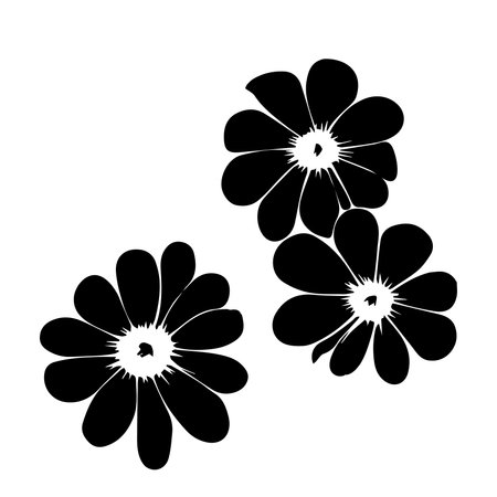 flowers design over white background illustration silhouette style black and whiteの素材