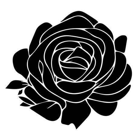 Black and white rose on white background. illustration for design.の素材