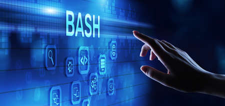 BASH Programming language software and web development internet ...