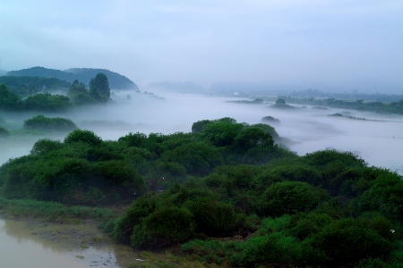 The appearance of the fog that filled Soyanggang.の写真素材