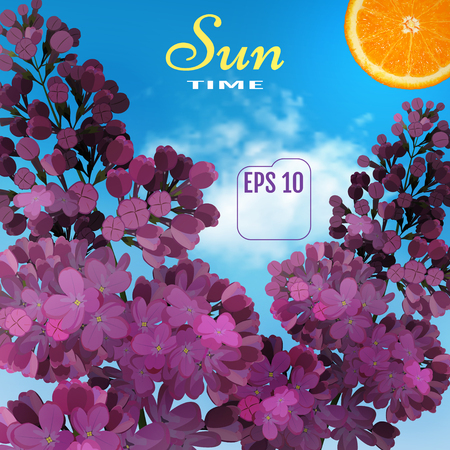 Sweet Lilac on the blue-sky background. Vector Lilac flowers, blue-sky and light cloud. Two branches with summer lilac flowers. Sun time conceptのイラスト素材