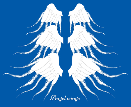 Set of three different wings. Collection Of elements. Feather angel wings.のイラスト素材