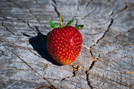 close up of big strawberry on woodの写真素材
