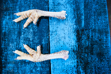Fresh chicken feet on a background of blue boards. Background for Halloweenの写真素材