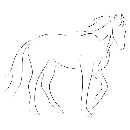 Black line horse on white background. Vector iconのイラスト素材