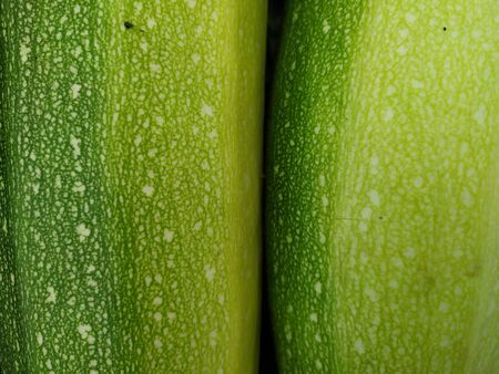 Pumpkin peel texture as background, structure of a zucchini peel as a textureの写真素材