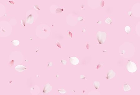 Sakura petals. Pink cherry blossom.のイラスト素材